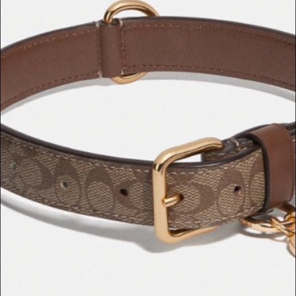 New Coach Small Signature Leather Dog Collar - Picture 3 of 6